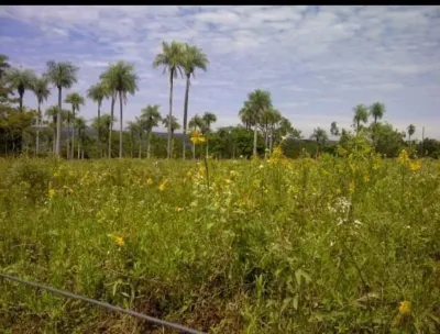 Terreno de 2,160m² en Venta en San Bernardino
