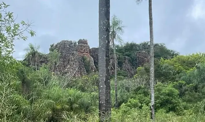 Vendo 14,6 hectáreas en Caacupé con vista al Cerro Kavaju - Image 14