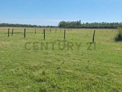 Terreno de 360m² en Venta en Villeta