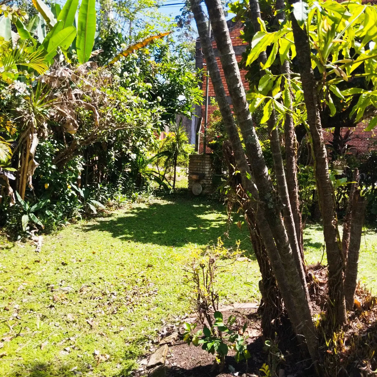 Terreno de 1.065m² en Venta en Zárate Isla, Luque - Image 8