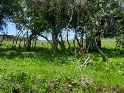 Terreno de 396m² en Venta en Caacupé