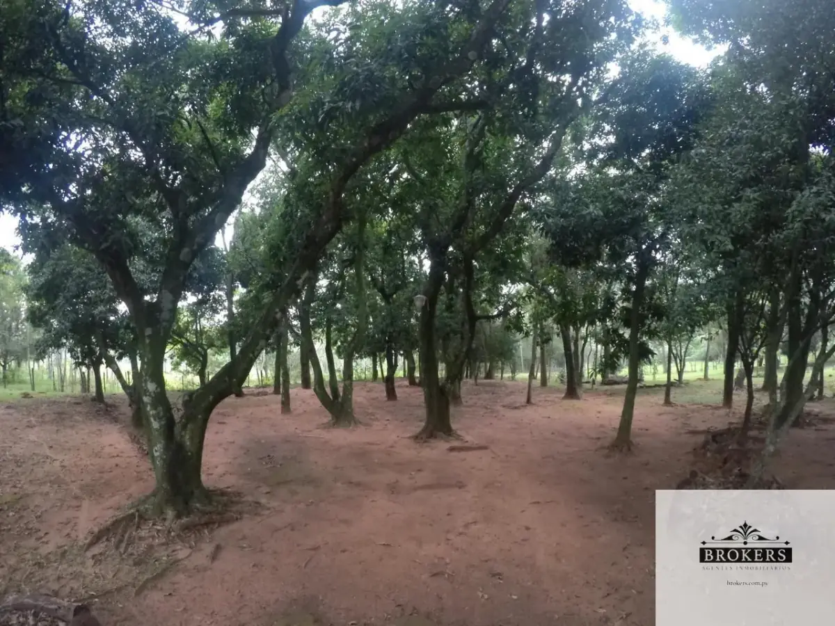 Terreno de 135,000m² en Venta en Piribebuy - Image 19