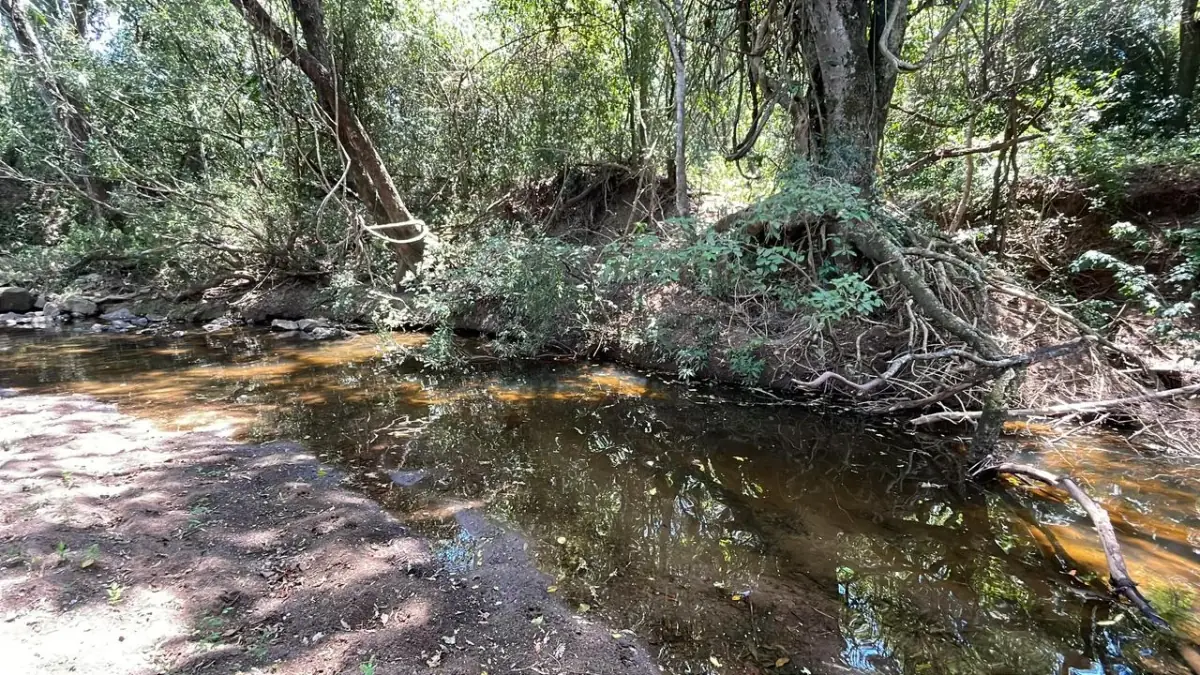 17,7 ha 44-acre farm with two streams & pond | 2 arroyos en Sapucai - Image 13