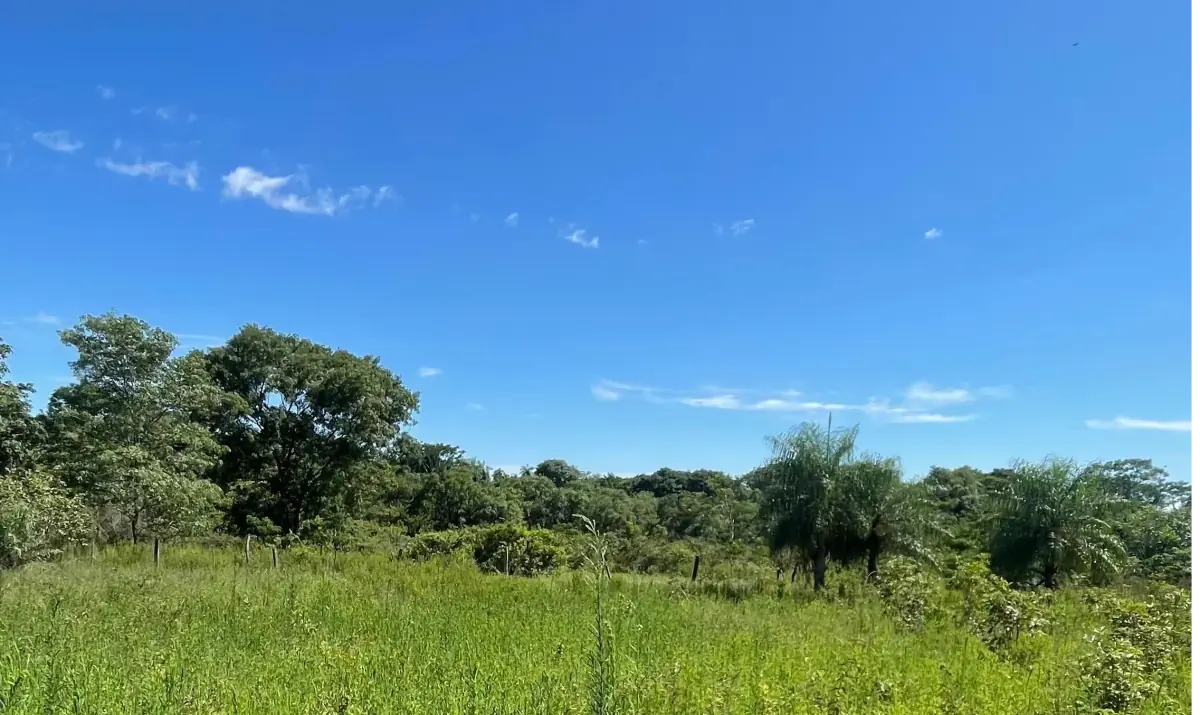 VENDO 9 HECTAREAS EN ATYRA 🍃🌳  📍A 4 km del casco urbano - Image 4