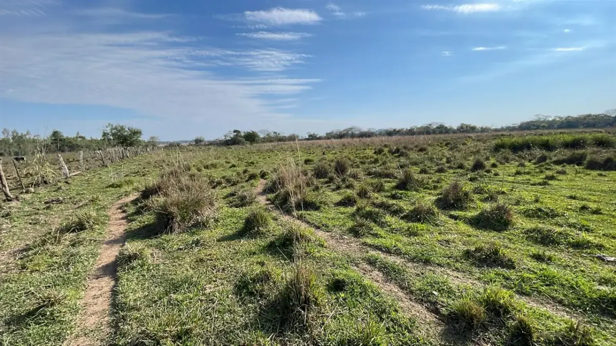 Vendo propiedad de 22 hectáreas en Tobati ⛰️🪵🧱🌱 - Image 6