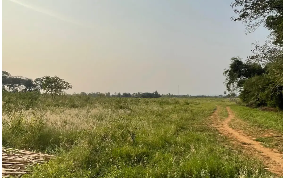 Vendo 4 hectáreas en Arroyos y Esteros 🤩 - Image 6
