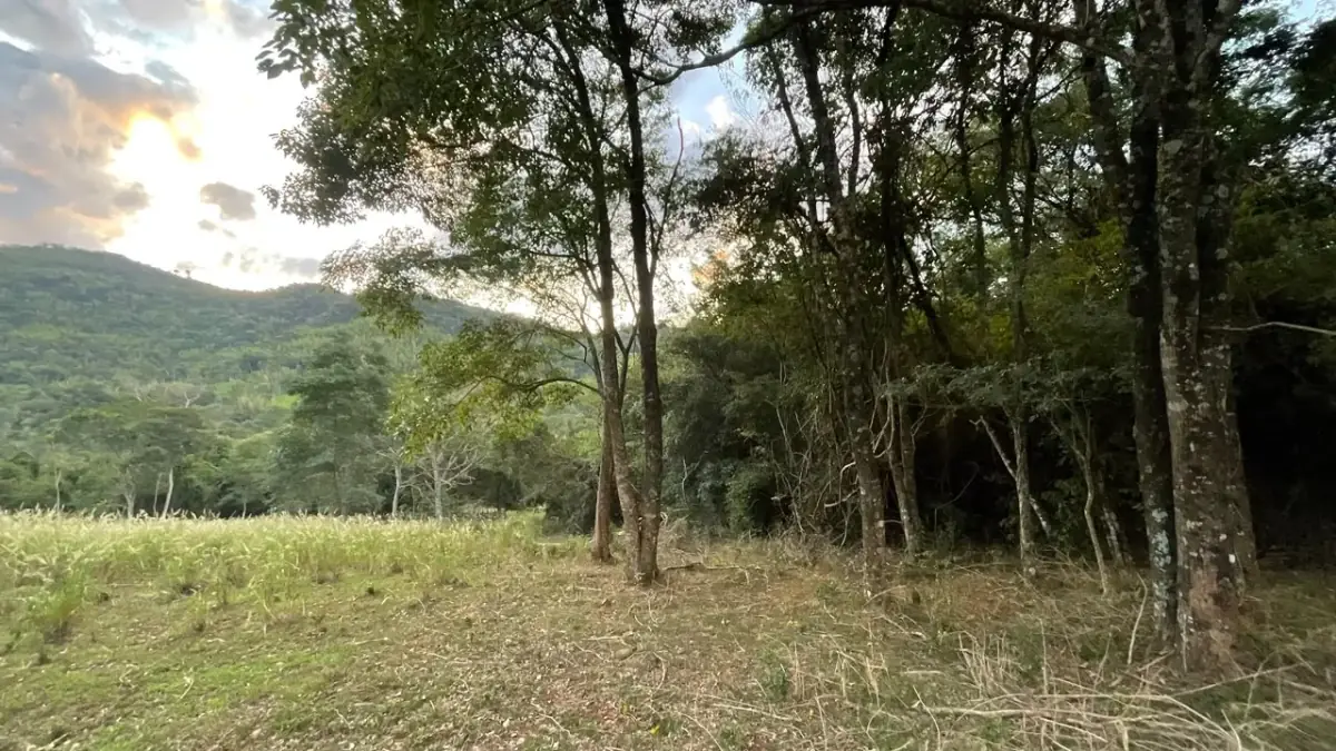43 Hectares Farm for Sale in Paraguay with Natural Spring and Creek - Image 13