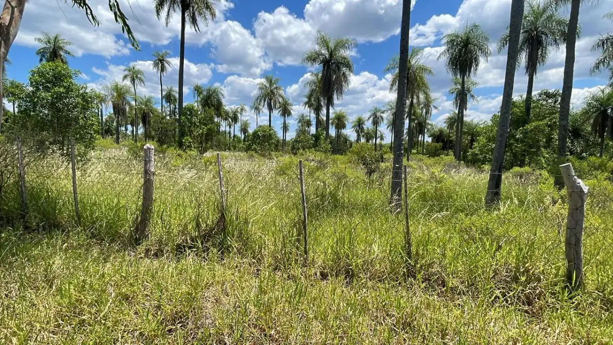 50-Hectare/123.5 Acres Piribebuy Livestock & Intensive Feedlot Farm - Image 15