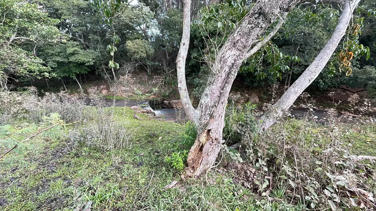 Propiedad de 7 hectáreas en Atyra 🍃🌳☀️ con cascada - Image 3