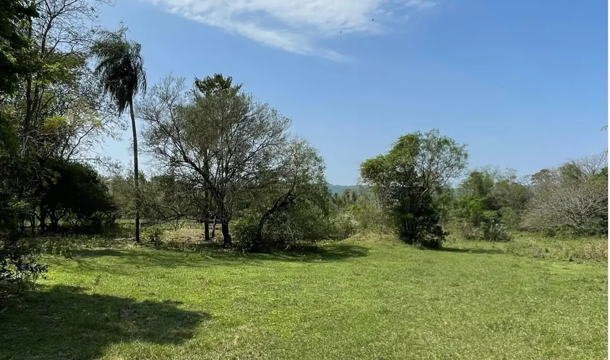 8.6 Hectares/21.2 acres Caacupé Land Agriculture & Fish Farming - Image 5
