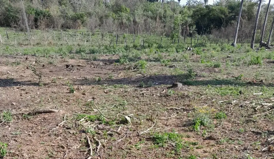 Vendo propiedad de 2 hectáreas en Atyra Ideal para granja - Image 4