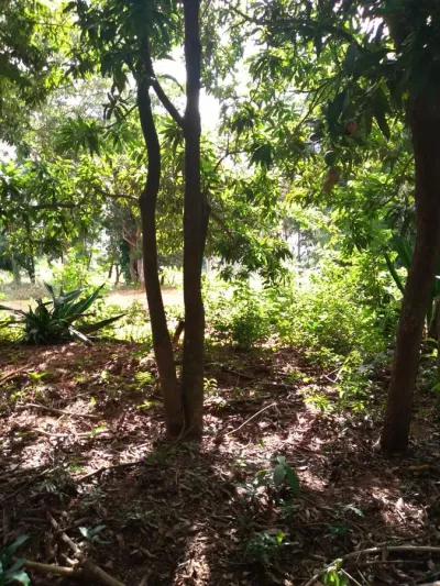 1,997m² Land for Sale in Ypacaraí