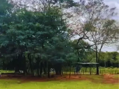 Terreno de 500,000m² en Venta en Paso Jhu, Piribebuy
