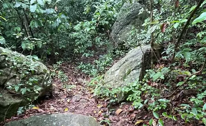 Vendo 14,6 hectáreas en Caacupé con vista al Cerro Kavaju - Image 11