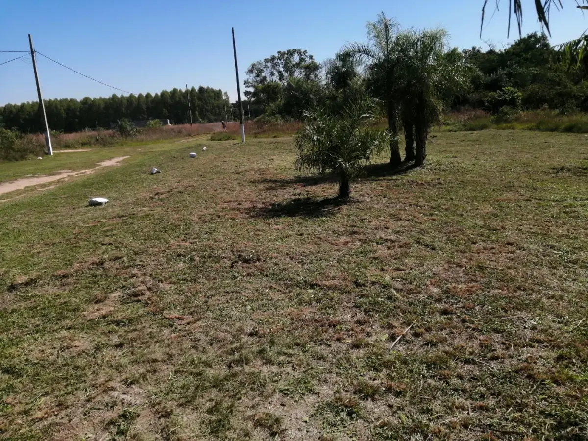 Vendo Terreno en Sanber de 500m2 a 200 metros de la ruta Luque-Sanber - Image 6
