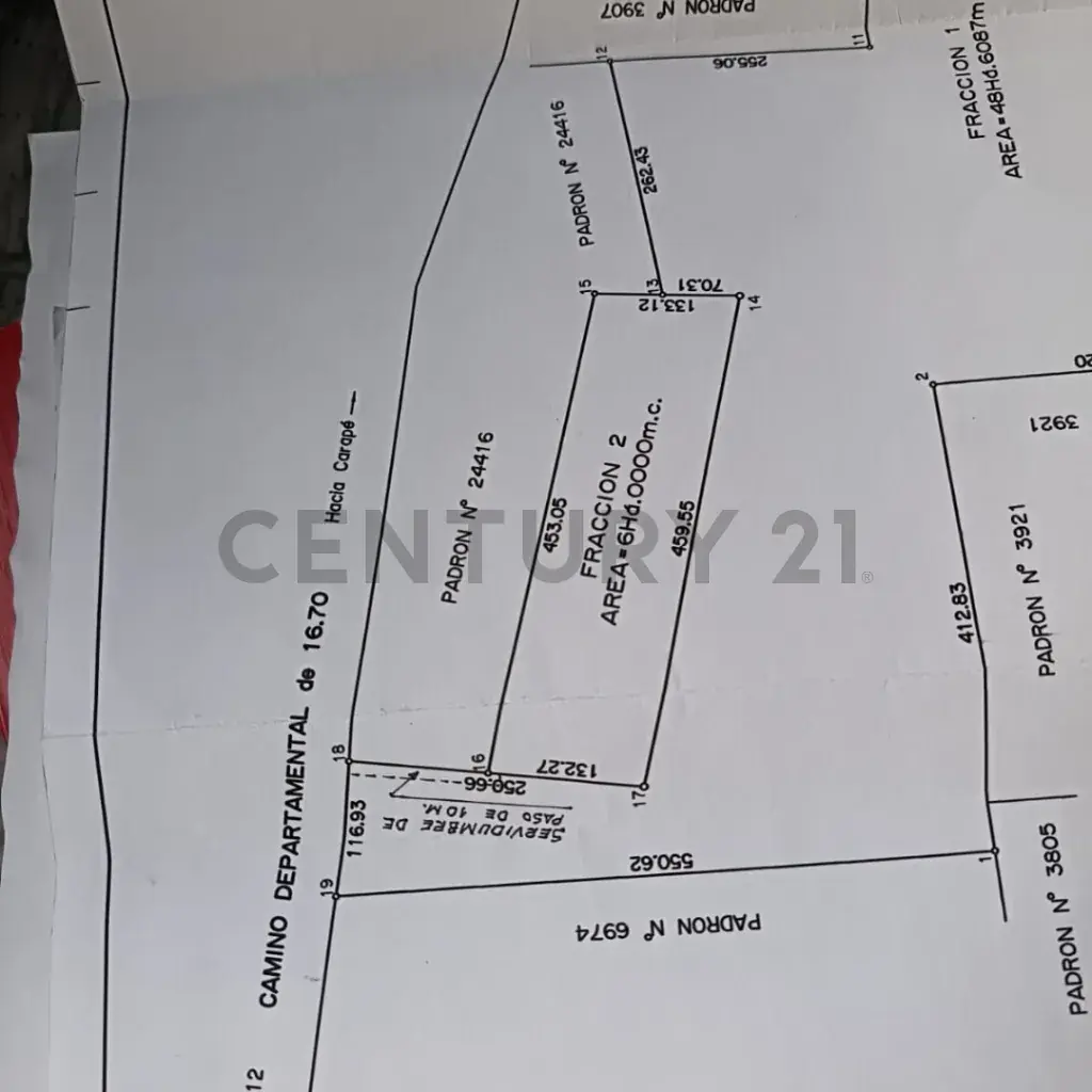 Terreno de 60,000m² en Venta en El Edén, Edén - Image 6