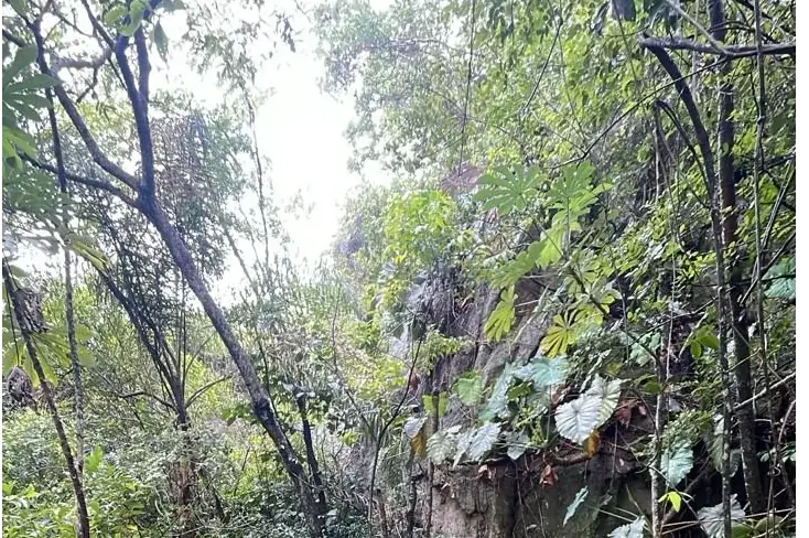 Vendo 14,6 hectáreas en Caacupé con vista al Cerro Kavaju - Image 9