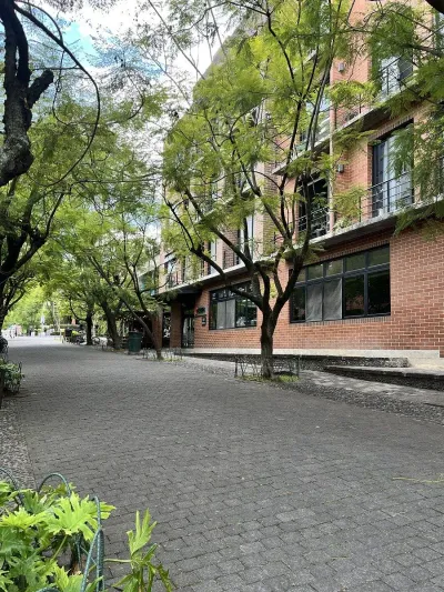 1-Bedroom Furnished Apartment, 45.5m², for Rent in Zone 4, Guatemala City