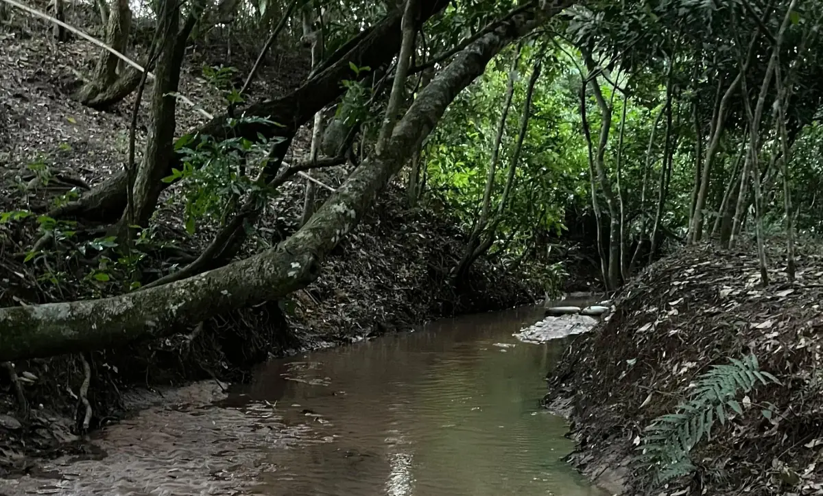 Propiedad de 7 hectáreas en Atyra 🍃🌳☀️ con cascada - Image 8