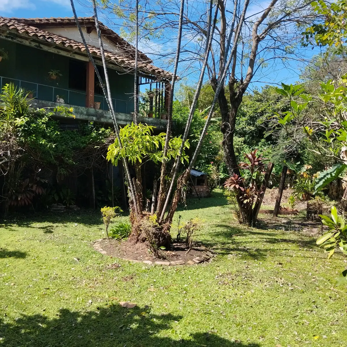 Terreno de 1.065m² en Venta en Zárate Isla, Luque - Image 13