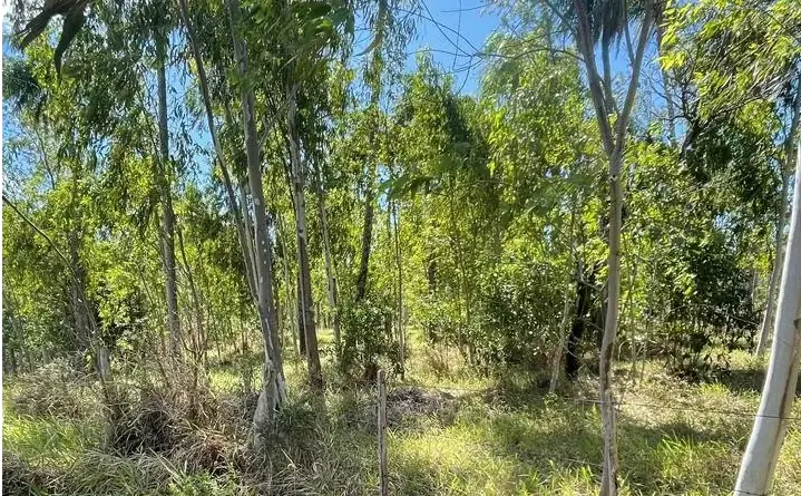 Campo 10 ha con vistas en Piribebuy | 25-acre land 1h45 from Asunción - Image 9