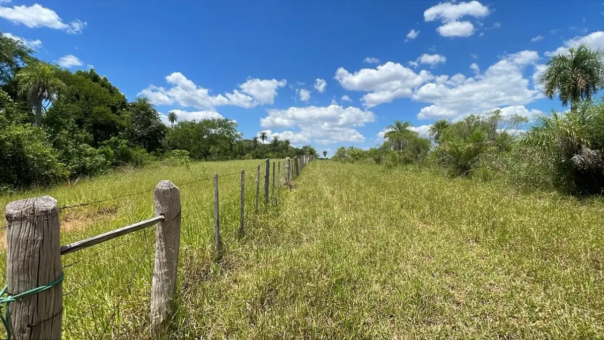 50-Hectare/123.5 Acres Piribebuy Livestock & Intensive Feedlot Farm - Image 3