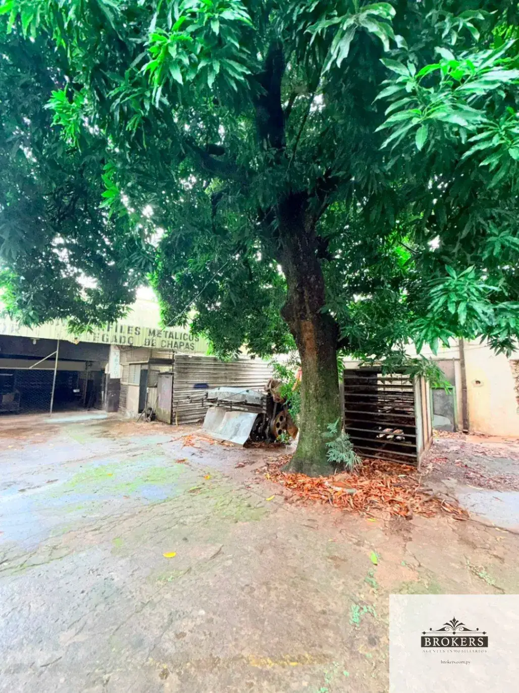 Espaço Comercial de 900m² para Aluguel em Villa Morra, Assunção - Image 17