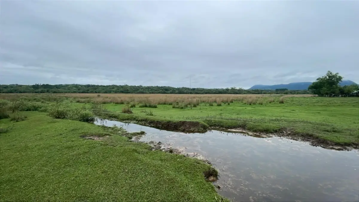 Inversión Agropecuaria en Paraguay: 90 Ha en Acahay con arroyo - Image 10