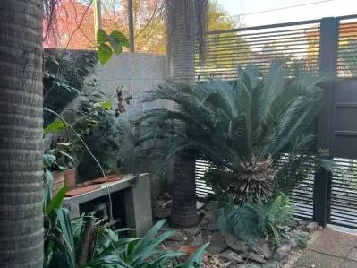 Casa de 5 dormitorios en Venta en Los Laureles, Asunción
