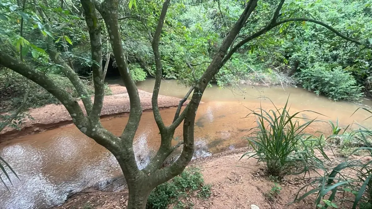 Inversión Agropecuaria en Paraguay: 90 Ha en Acahay con arroyo - Image 5