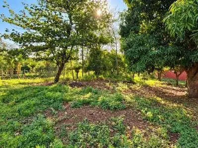 Terreno de 1.968m² à Venda em San Bernardino - Image 5