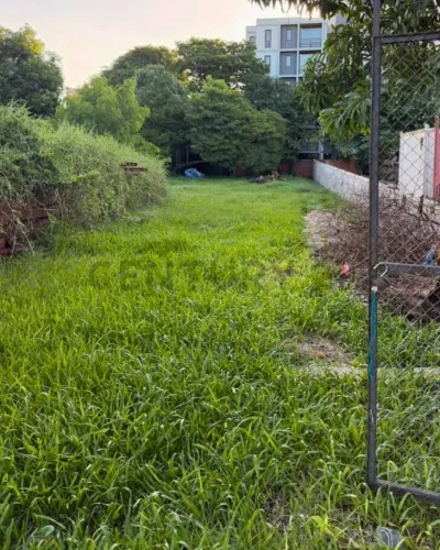 Terreno de 998m² à Venda em Campo Grande, Luque