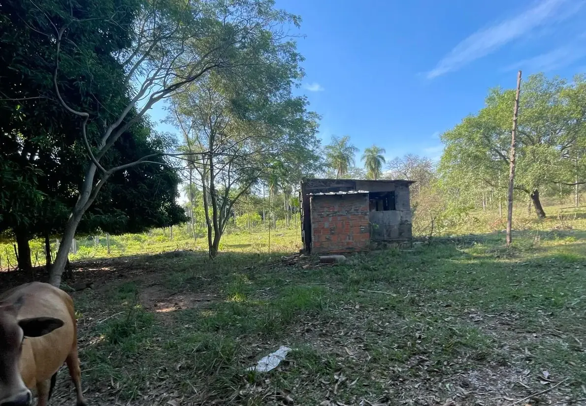 VENDO HERMOSA PROPIEDAD EN EMBOSCADA 20 hectareas A 3 km de la ruta - Image 7