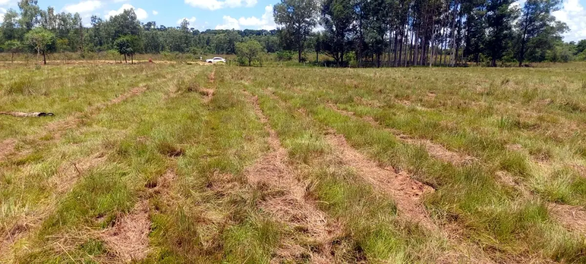 20 hectares em Arroyos y Esteros com estrada asfaltada e frente para o rio Piribebuy - Image 6
