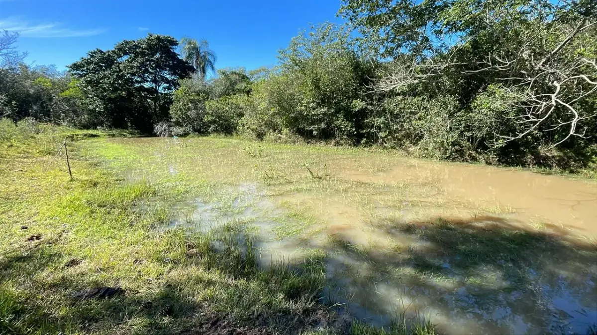 10-Hectare 24.7-acre flat terrain Farm in San José de los Arroyos - Image 9