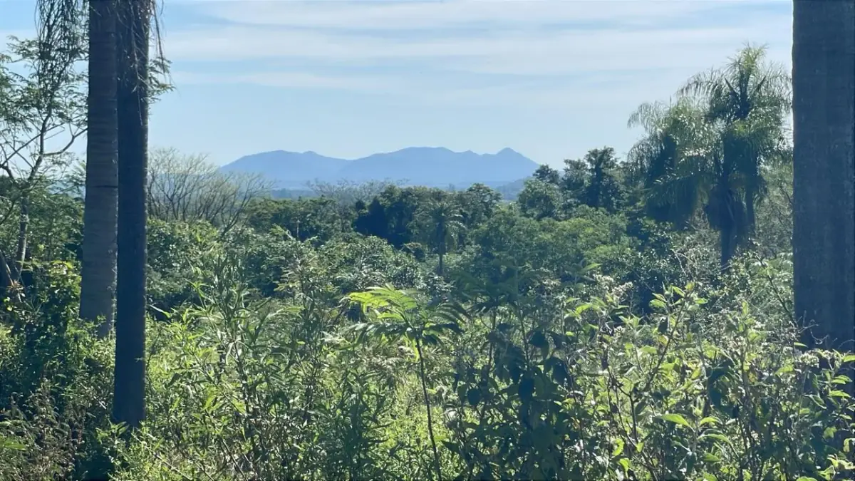 Campo de 8,9 ha en Caballero | 22-acre farm 2 hours from Asunción