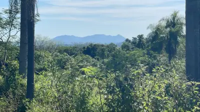 Campo de 8,9 ha en Caballero | 22-acre farm 2 hours from Asunción
