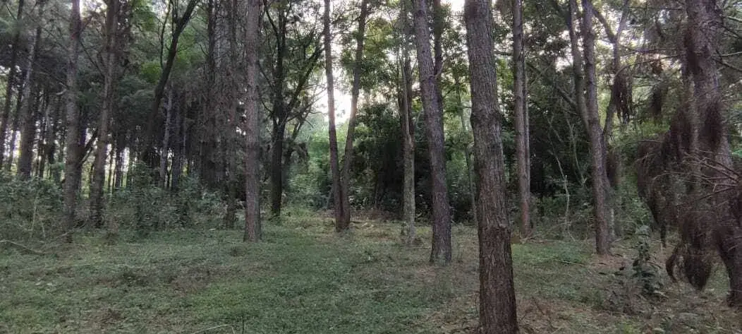 5.73m² Land for Sale in Ciudad de Arroyo Pora-Sub Urbano - Image 13