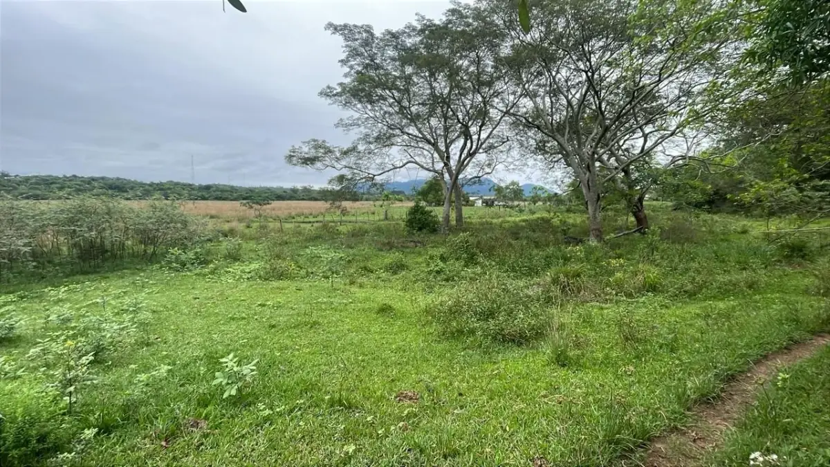 Inversión Agropecuaria en Paraguay: 90 Ha en Acahay con arroyo - Image 15