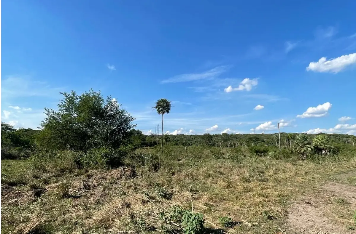VENDO HERMOSA PROPIEDAD EN EMBOSCADA 20 hectareas A 3 km de la ruta - Image 14