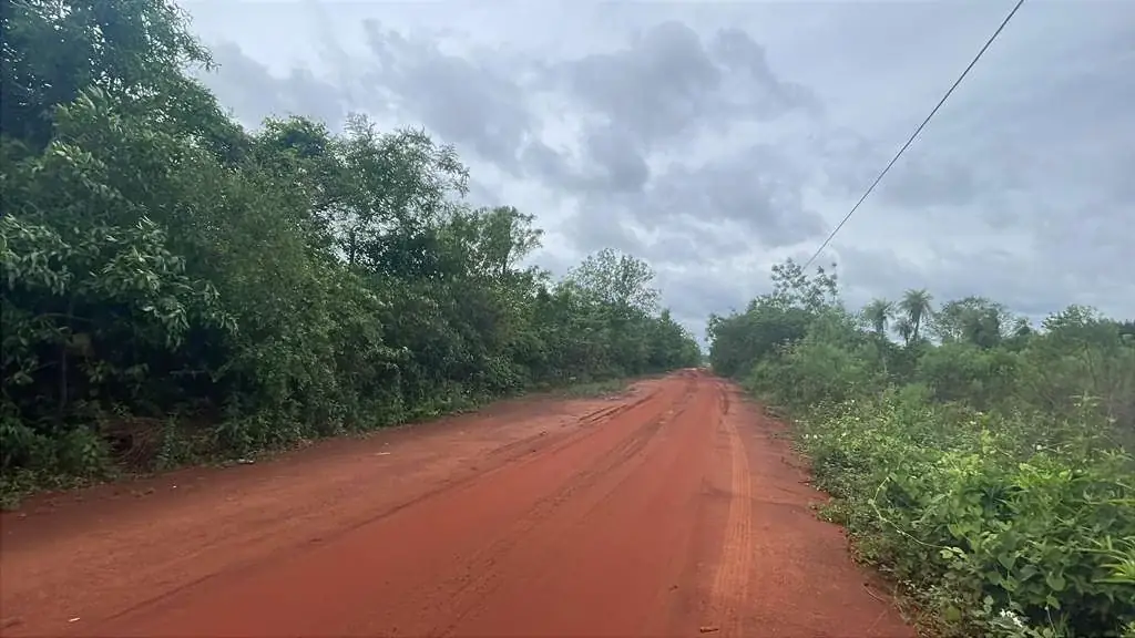 12.6-Hectare 31.1-acre Farm with House in Carapeguá - Image 3