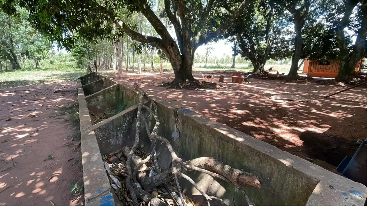 50-Hectare/123.5 Acres Piribebuy Livestock & Intensive Feedlot Farm - Image 9