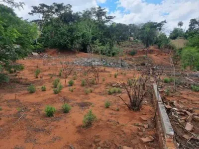 375m² Lot for Sale in Centro, Villa Elisa
