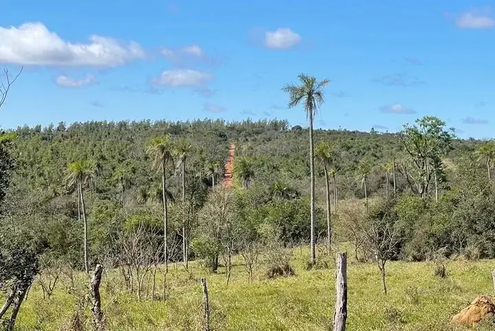Campo 10 ha con vistas en Piribebuy | 25-acre land 1h45 from Asunción - Image 12
