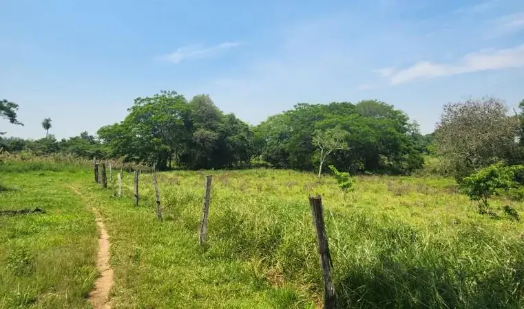 Vendo 5,5 hectareas en Caraguatay Fulgencio Yegros A 1000m del asfalto - Image 12