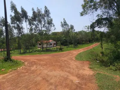 Campo en Nueva Colombia 12 hectareas A 5' del centro de Nueva Colombia