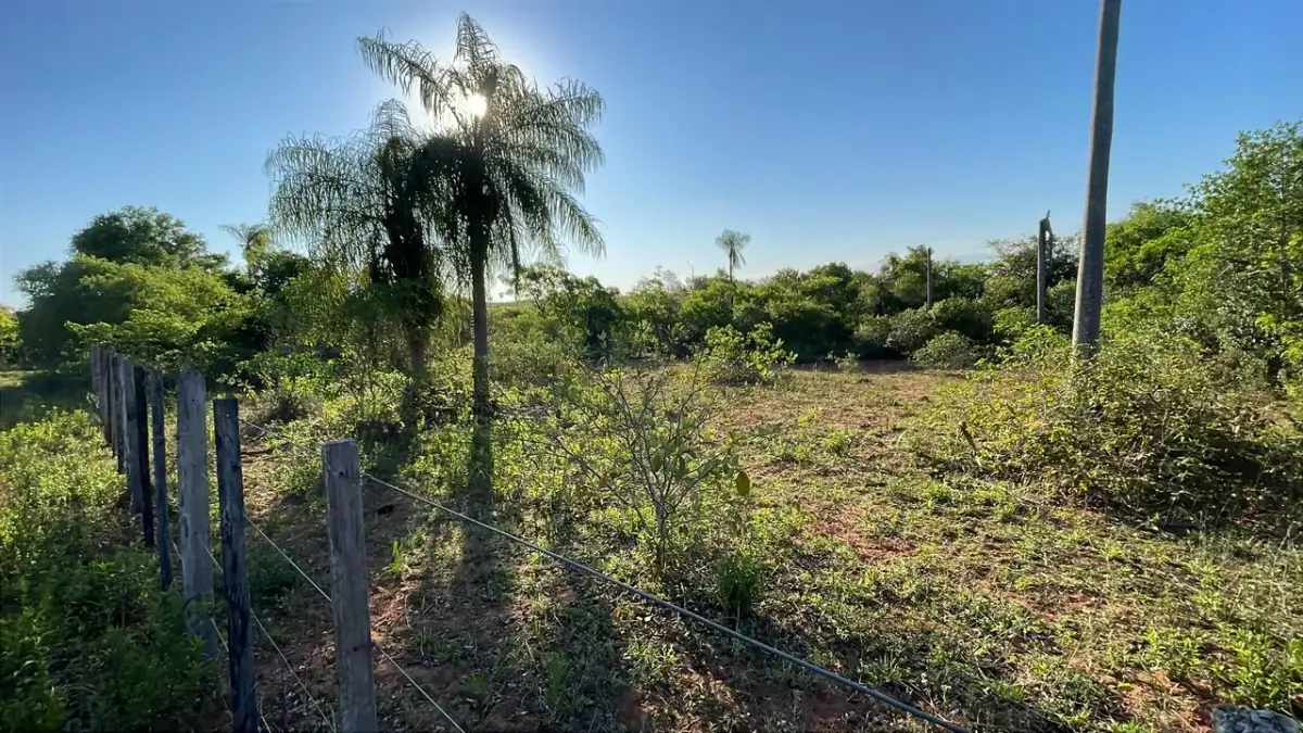 Vendo 4,5 hectáreas en Piribebuy 🤩🌳 con manantial, arroyo y pileta - Image 9