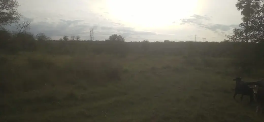 Vendo 20 hectáreas en Emboscada A 3 km de la ruta 3 del casco urbano