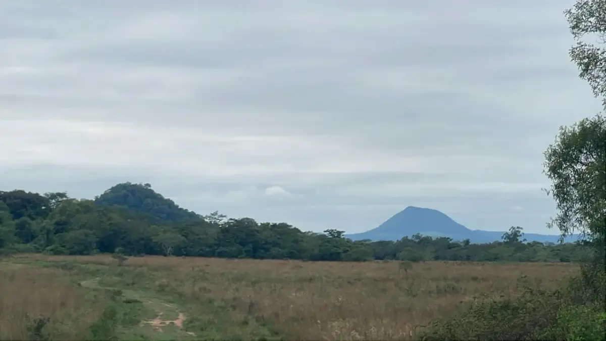Inversión Agropecuaria en Paraguay: 90 Ha en Acahay con arroyo - Image 6