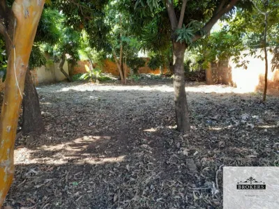 615m² Lot for Sale in Villa Aurelia, Fernando de la Mora
